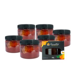 kit 6 Mel  especial com Favo Natural 100% puro 540g